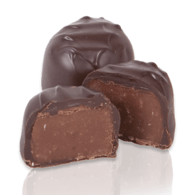 Mint Fudgie Dark Chocolate