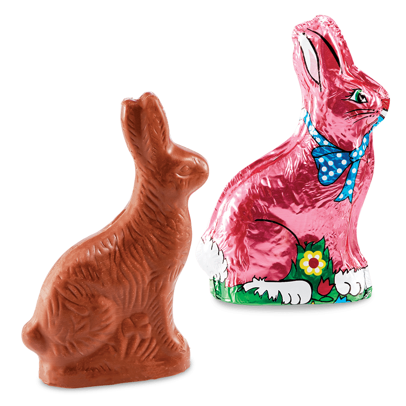 Chocolate Bunny - Gift Ideas